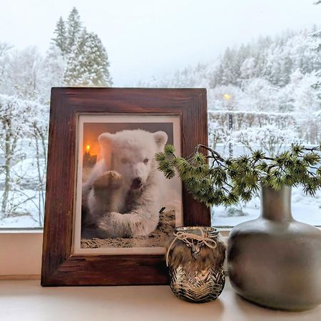 Au Petit Bois Apartman Chamonix Kültér fotó