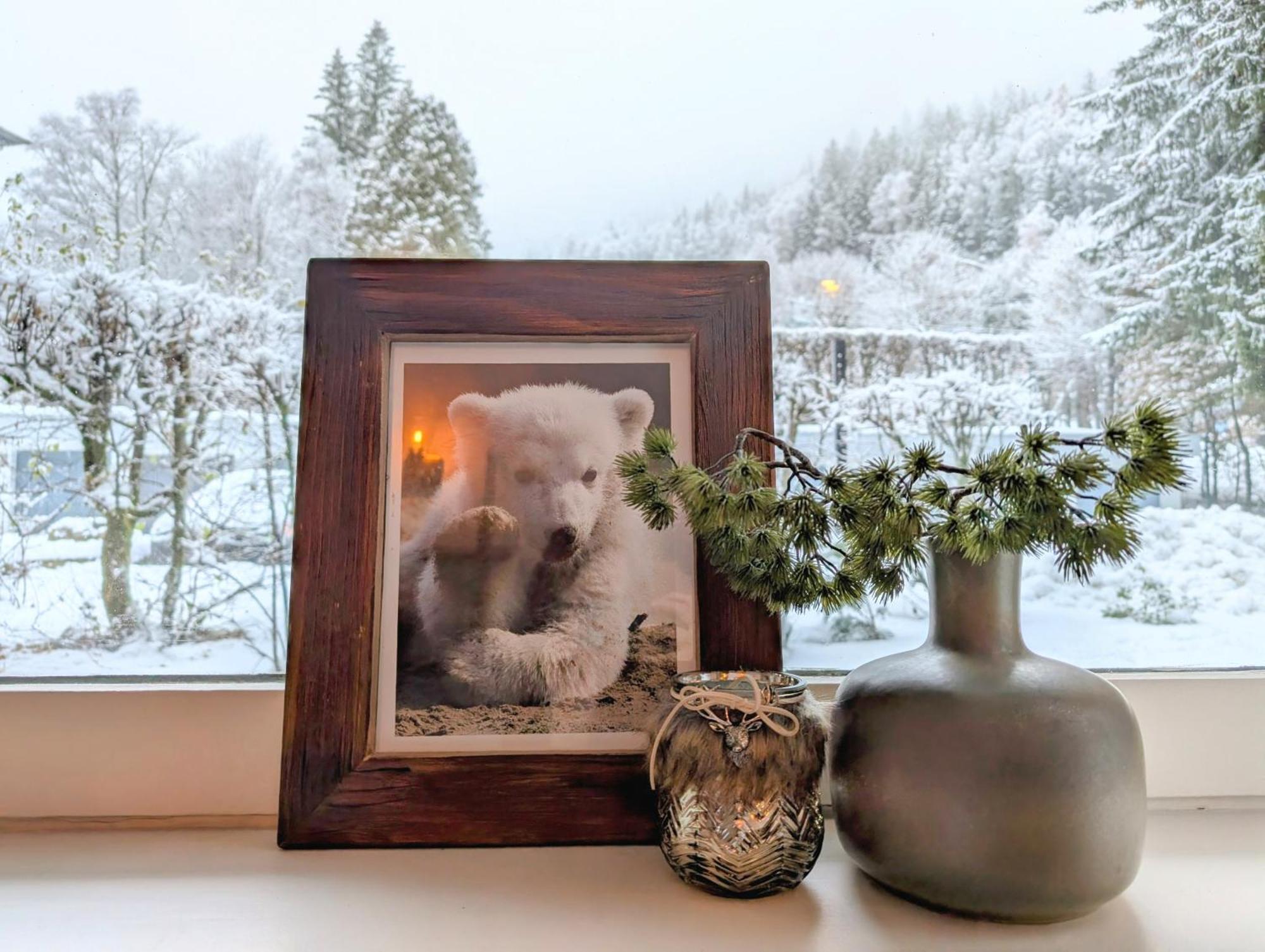 Au Petit Bois Apartman Chamonix Kültér fotó