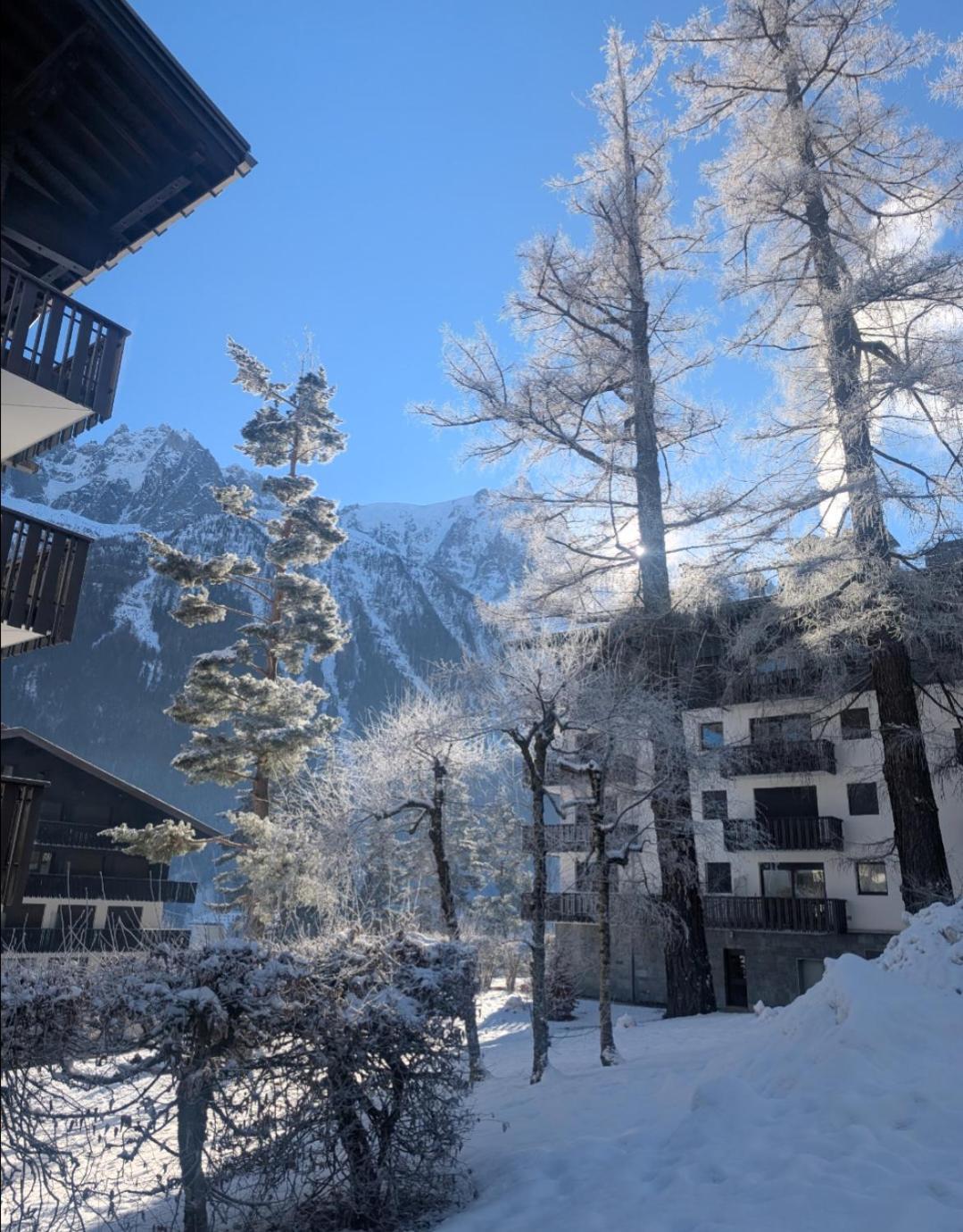 Au Petit Bois Apartman Chamonix Kültér fotó